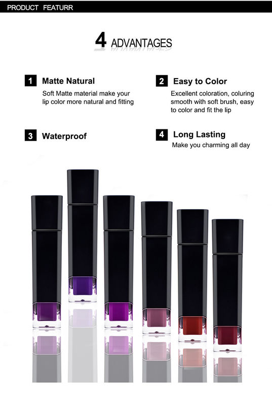 De Lippenstiftensteen van de schoonheidsmiddelen Natuurlijke Make-up met Verschillend Kleurenzonnescherm
